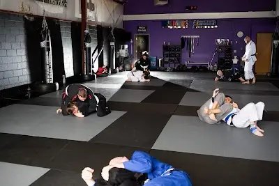 Endeavor Defense & Fitness BJJ Academy - photo 1