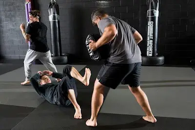 Endeavor Defense & Fitness BJJ Academy - photo 3