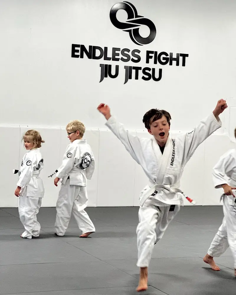 Endless Fight Jiu Jitsu BJJ Academy - photo 1