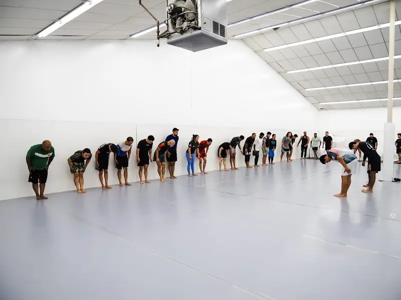 ENDVR JIU JITSU BJJ Academy - photo 2
