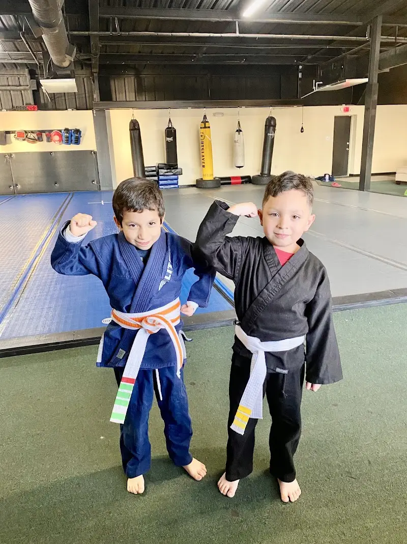 Epic Fight & Fitness Martial Arts Academy BJJ Academy - photo 1