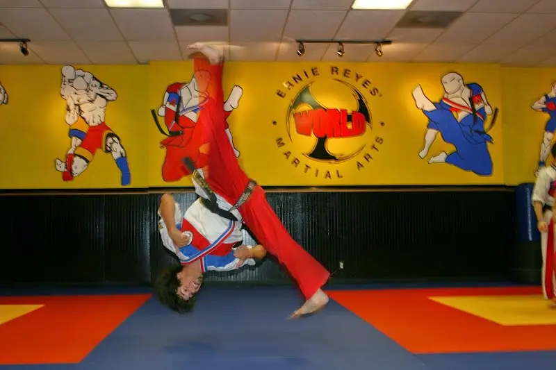 Ernie Reyes' World Martial Arts BJJ Academy - photo 1