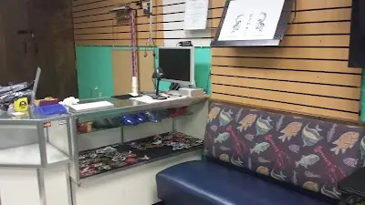 Ethereal Arts Self Defense BJJ Academy - photo 2