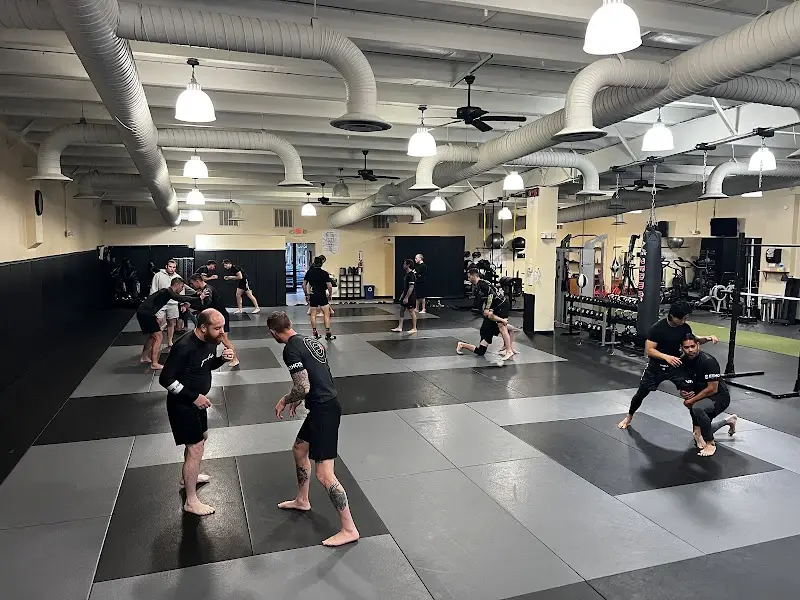 Ethos Jiu Jitsu and Fitness BJJ Academy - photo 2