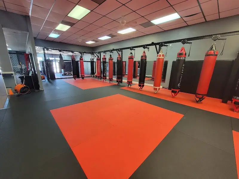 Ethos Jiu Jitsu And Martial Arts BJJ Academy - photo 1