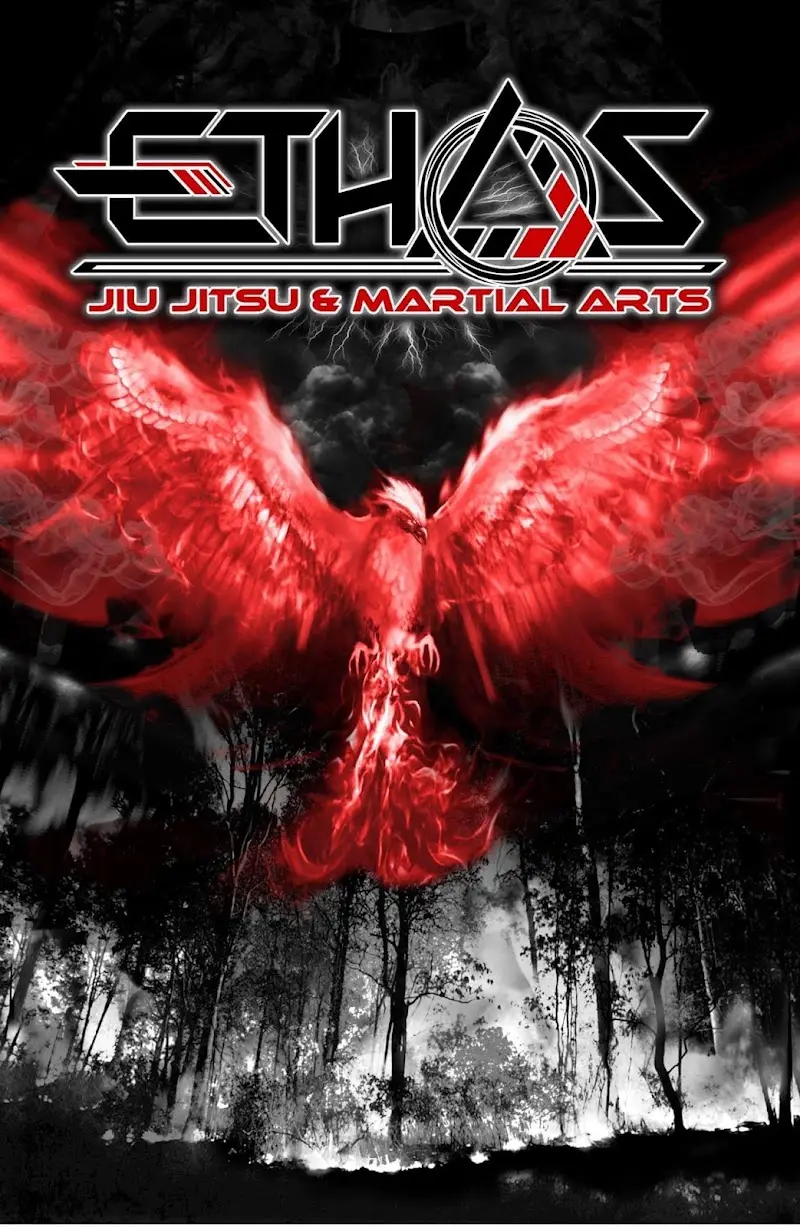 Ethos Jiu Jitsu And Martial Arts BJJ Academy - photo 2
