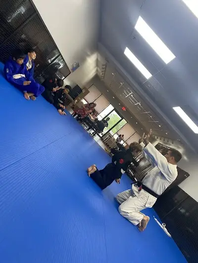 Evolution Brazilian Jiu-Jitsu BJJ Academy - photo 3