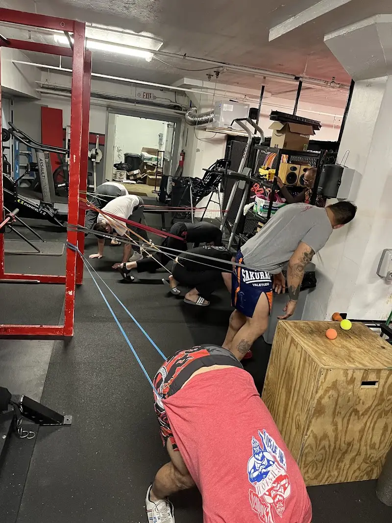 Evolution Grappling Academy BJJ Academy - photo 2