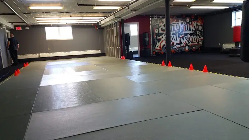 Evolution Krav Maga and BJJ BJJ Academy - photo 2