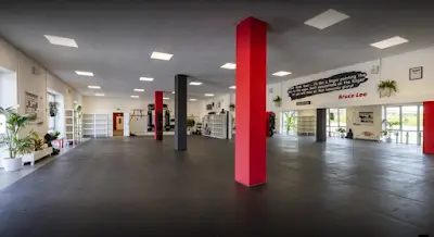 Evolution Sportsclub - fitnessorientiertes Kickboxen, Fitnesskickboxen, Kindertraining, Selbstverteidigung, BJJ, Mobility