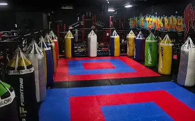 Evolution Training Center ( Fight and Fitness)
