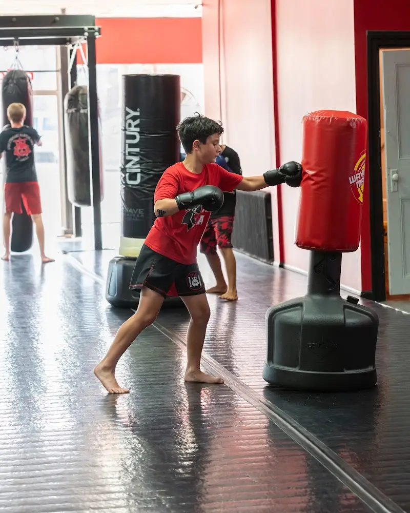Evolutionary Martial Arts