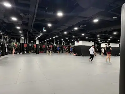 Evolve MMA (Star Vista)