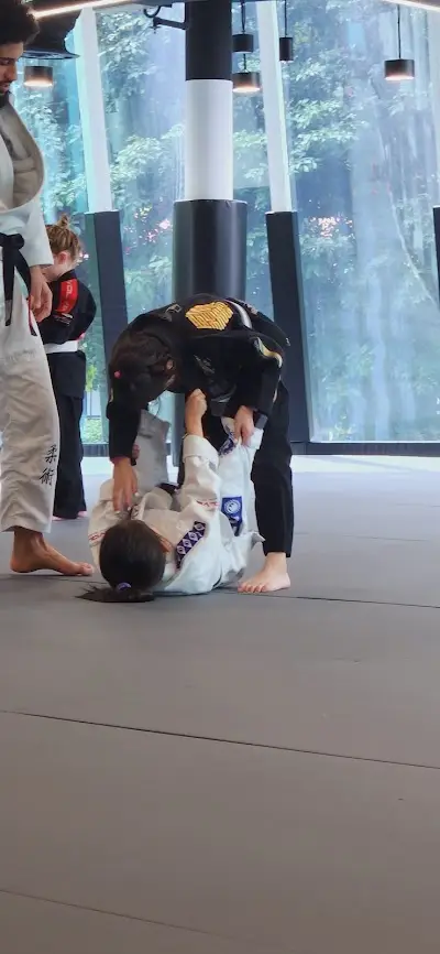 Evolve MMA (Star Vista) BJJ Academy - photo 3