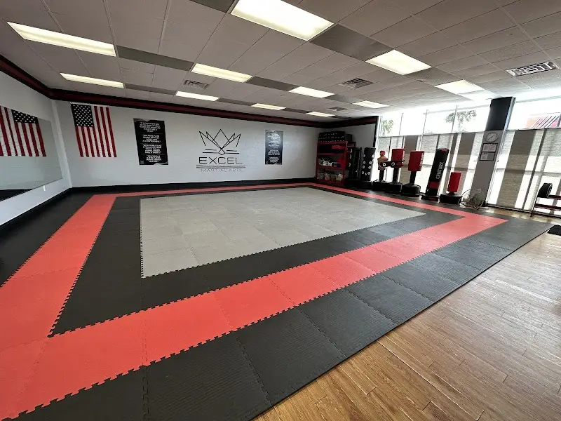 Excel Martial Arts BJJ Academy - photo 2