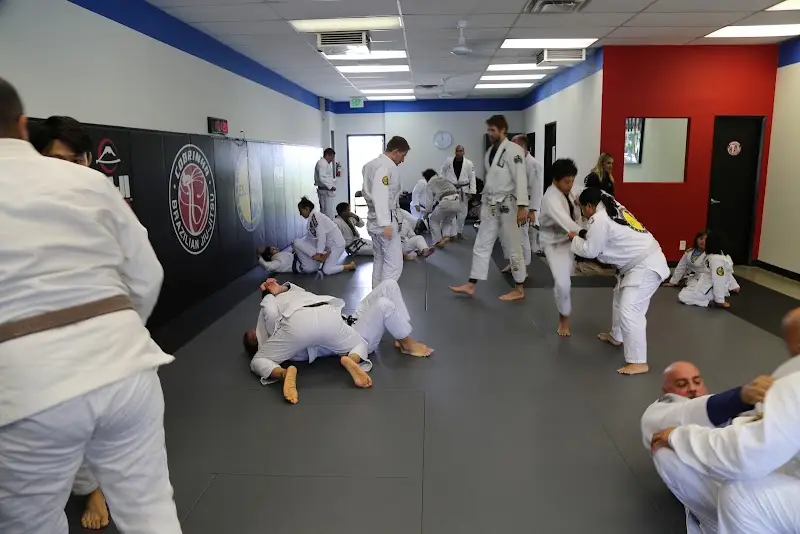 Excellence School of Jiu-Jitsu BJJ Academy - photo 2