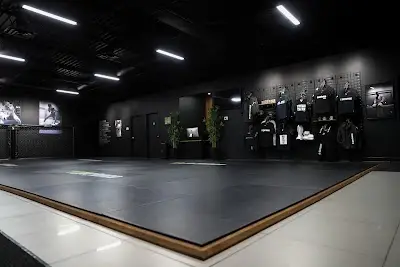 Experience MMA & Fitness BJJ Academy - photo 1