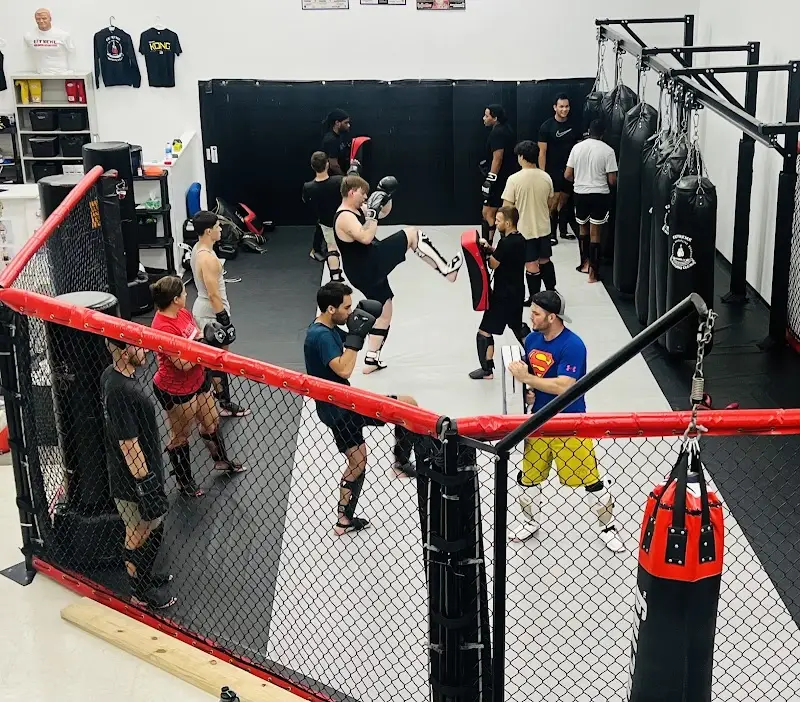 Extreme Mix Martial Arts BJJ Academy - photo 1