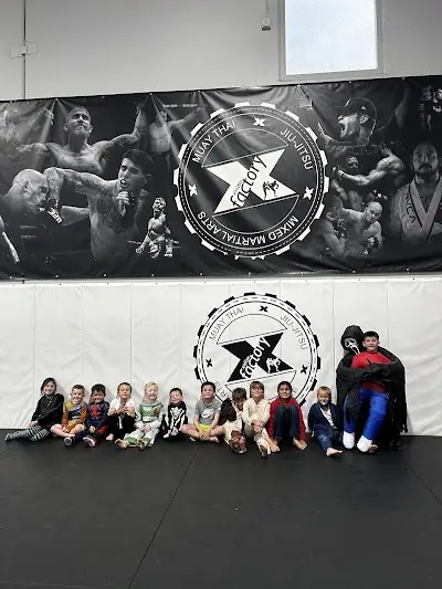 Factory X Muay Thai/MMA/BJJ BJJ Academy - photo 1