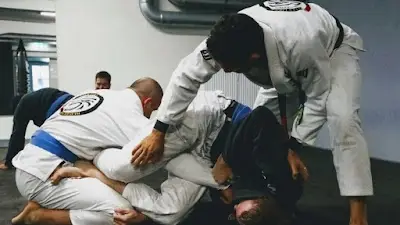 Falcões-Top-Team