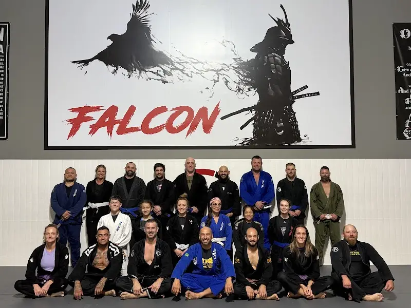 Falcon Brazilian Jiu Jitsu