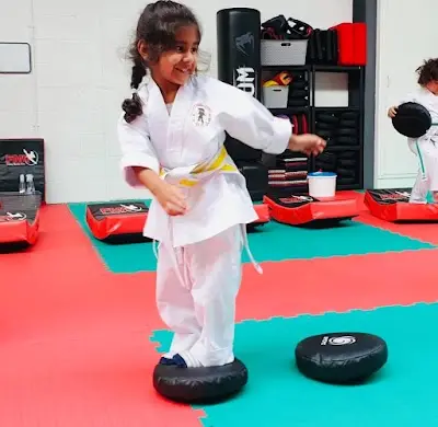 Family Martial Arts Wirral BJJ Academy - photo 3