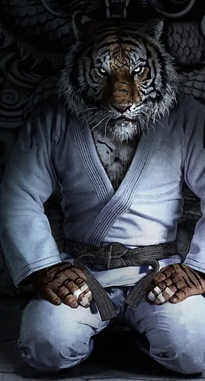 Farnham Jiu Jitsu BJJ Academy - photo 1