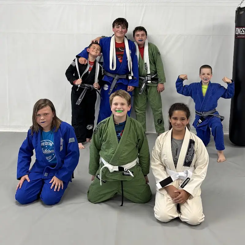 Fastidious American Jiu Jitsu BJJ Academy - photo 2