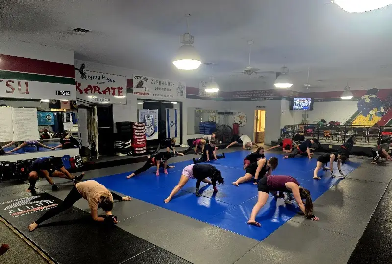 FEKS Martial Arts Center BJJ Academy - photo 1
