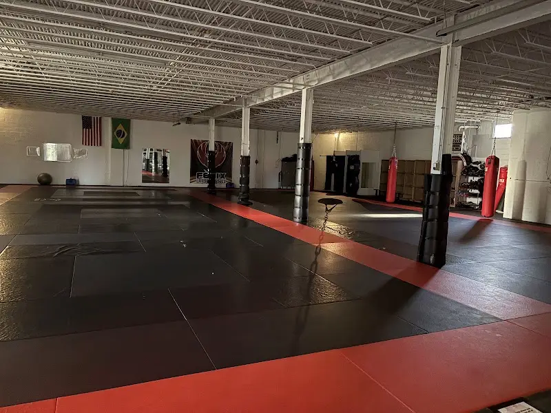 Fenix Jiu Jitsu MMA BJJ Academy - photo 1