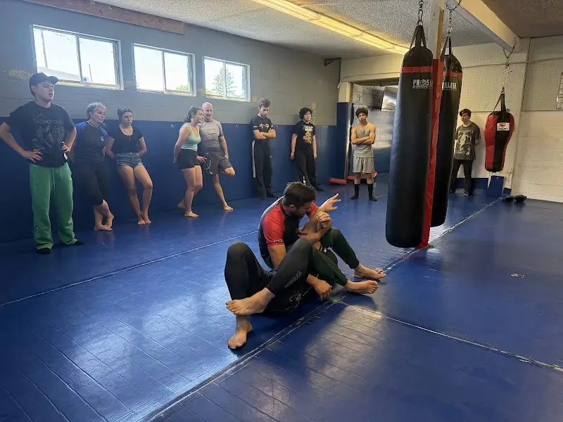 Ferreira Family Fight Academy: mma, brazilian jiu jitsu, kickboxing, muay thai, boxing, Lakeport