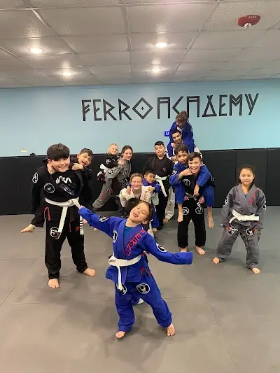 Ferro academy Brazilian Jiu jitsu BJJ Academy - photo 1
