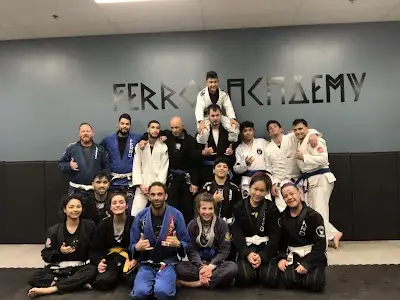 Ferro academy Brazilian Jiu jitsu BJJ Academy - photo 3