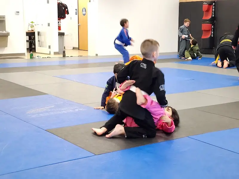 Fevas Academy BJJ Academy - photo 2