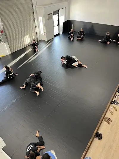 Fierce Jiu-Jitsu BJJ Academy - photo 2