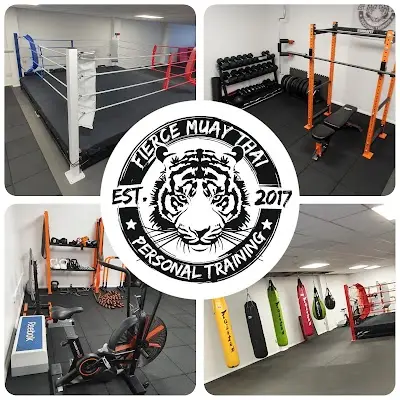 Fierce Muay Thai & Personal Training BJJ Academy - photo 1