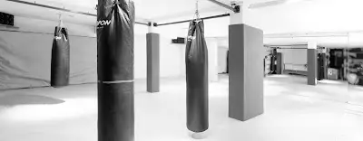 Fight & Fitness Academy Herrsching BJJ Academy - photo 1