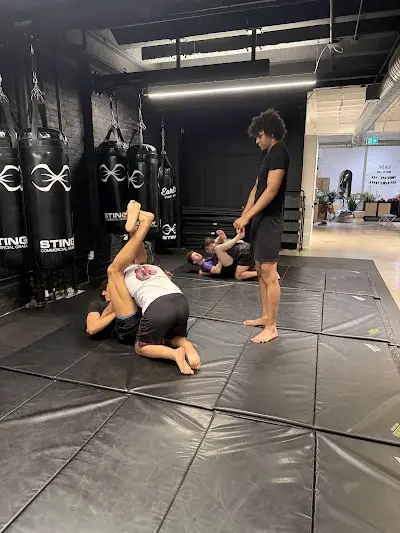 Fight Den MMA Krav No Gi BJJ Academy - photo 1