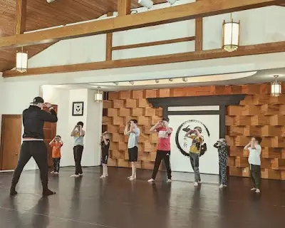 Fight Mechanix Kickboxing & MMA - Flint, MI BJJ Academy - photo 1