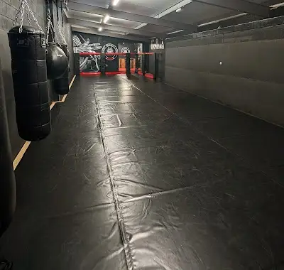 FIGHT PROJECT GYM LLANELLI BJJ Academy - photo 2
