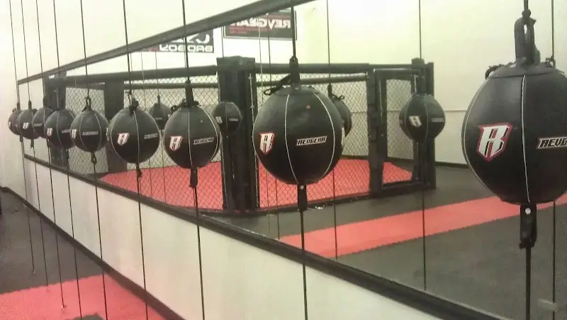 Fight Team LLC BJJ Academy - photo 1