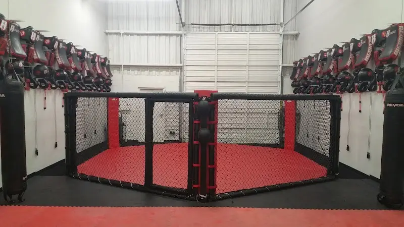 Fight Team LLC BJJ Academy - photo 2