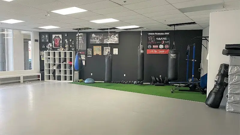 Figueroa Jiu-Jitsu Academy | Nine Nine Vista BJJ Academy - photo 1