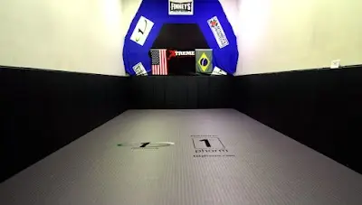 Finney's St. Louis MMA, Kickboxing, Boxing and Jiu-Jitsu BJJ Academy - photo 3
