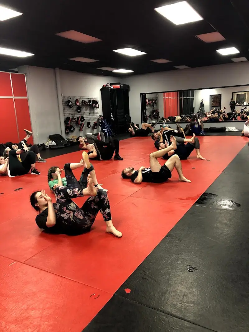 Fit and Fearless BJJ Academy - photo 1