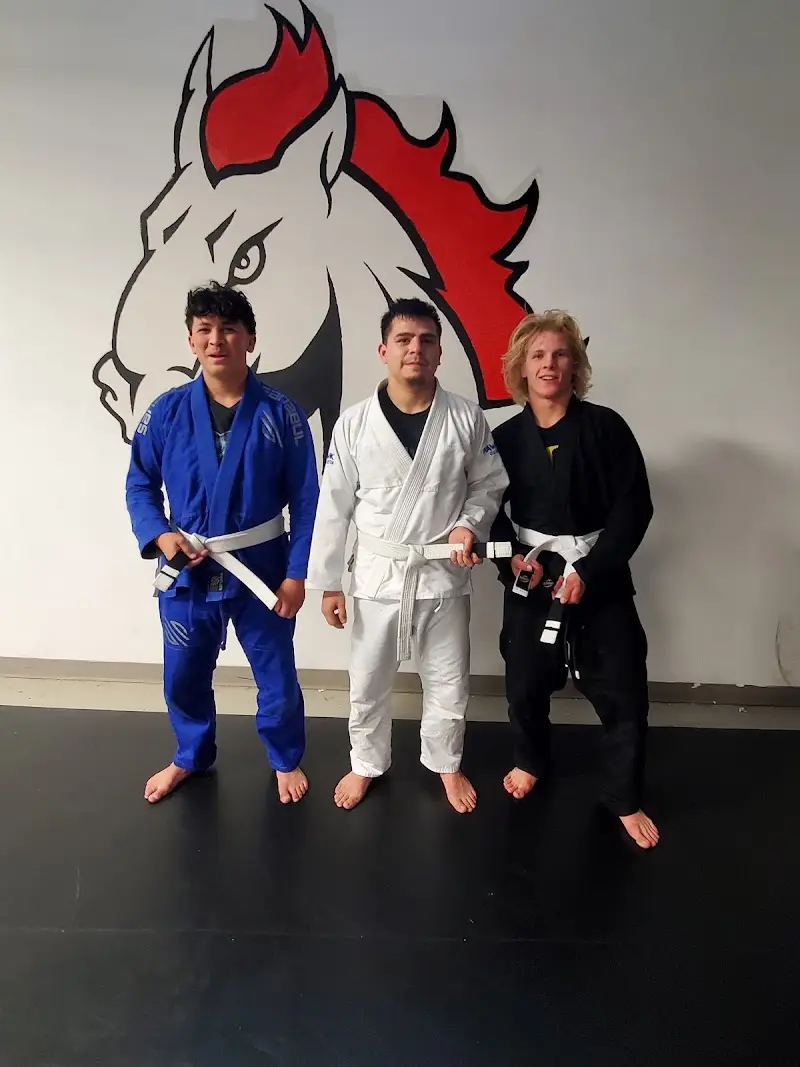 Flatland Brazilian Jiu Jitsu BJJ Academy - photo 2