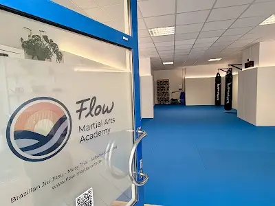 Flow - Martial Arts Academy