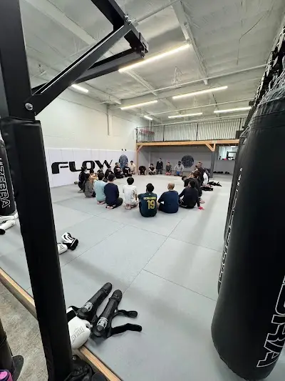 Flow Jiu-Jitsu and Muay Thai San Jose BJJ Academy - photo 1