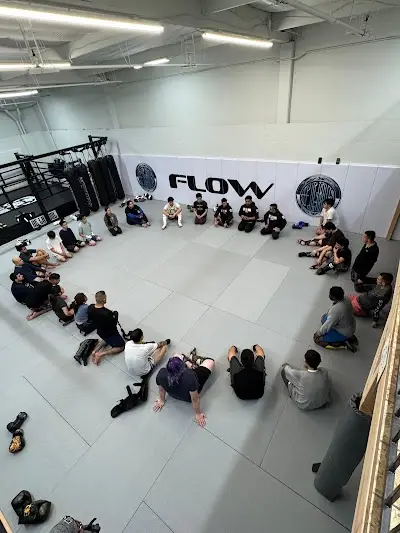 Flow Jiu-Jitsu and Muay Thai San Jose BJJ Academy - photo 2