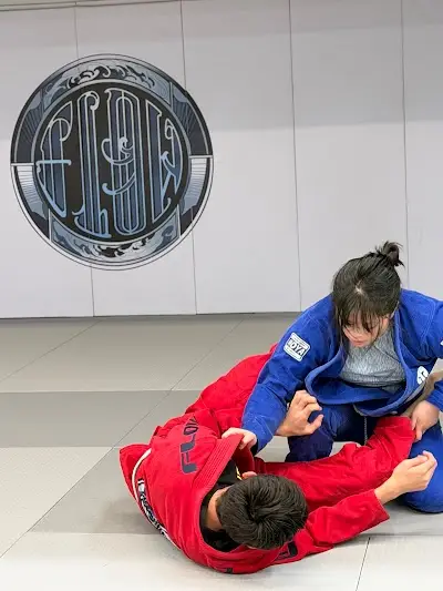 Flow Jiu-Jitsu and Muay Thai San Jose BJJ Academy - photo 4